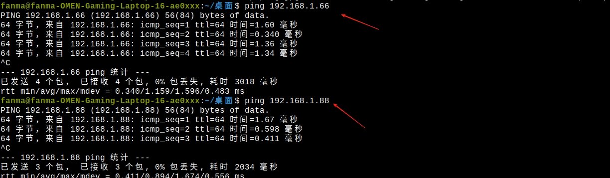 ping结果