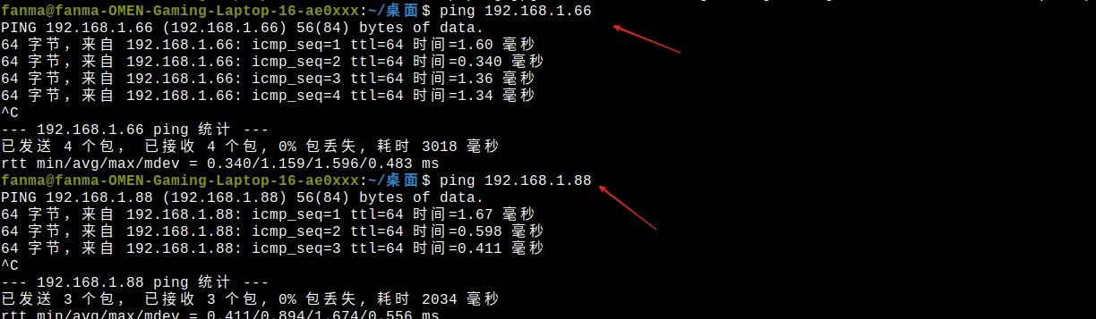 ping result