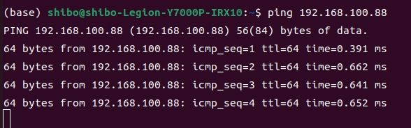 ping Orin result
